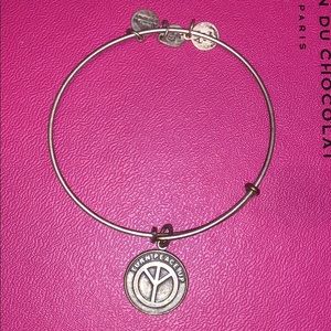 Alex and Ani Charm Bracelet